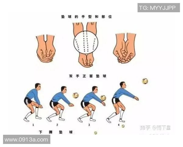 排球新手必看：轻松掌握团队协作技巧与实战策略